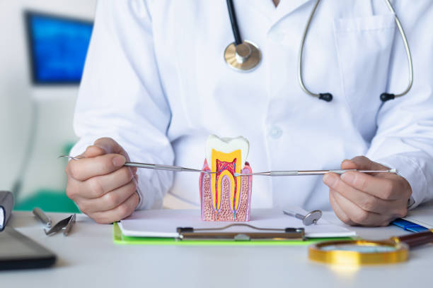 Best Knocked-Out Tooth Emergency  in Summerville, GA
